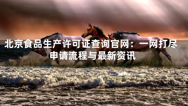 北京食品生产许可证查询官网：一网打尽申请流程与最新资讯