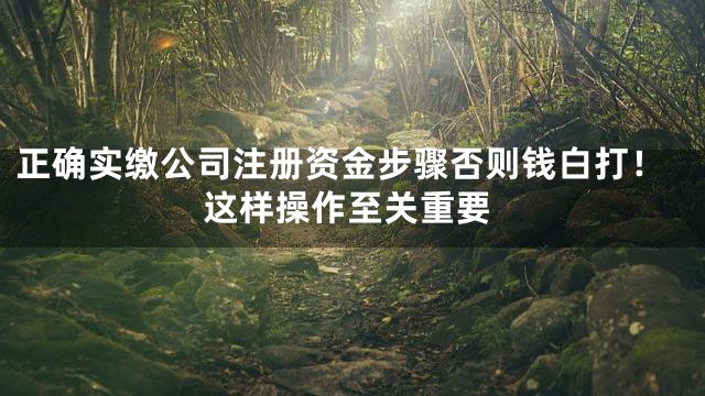 正确实缴公司注册资金步骤否则钱白打！这样操作至关重要