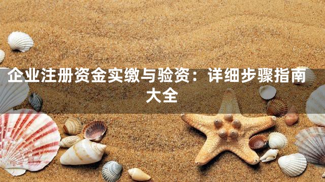 企业注册资金实缴与验资：详细步骤指南大全