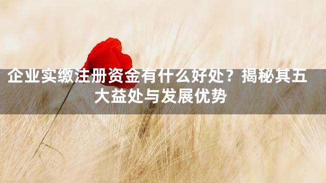 企业实缴注册资金有什么好处？揭秘其五大益处与发展优势