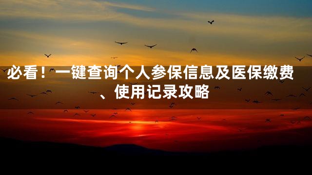 必看！一键查询个人参保信息及医保缴费、使用记录攻略