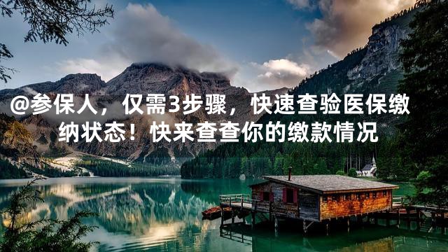 @参保人，仅需3步骤，快速查验医保缴纳状态！快来查查你的缴款情况