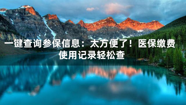 一键查询参保信息：太方便了！医保缴费使用记录轻松查