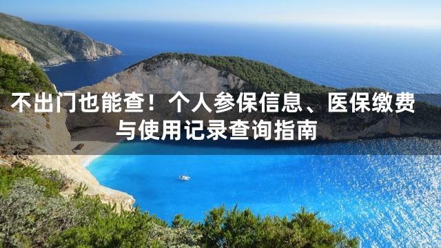 不出门也能查！个人参保信息、医保缴费与使用记录查询指南