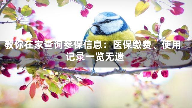 教你在家查询参保信息：医保缴费、使用记录一览无遗