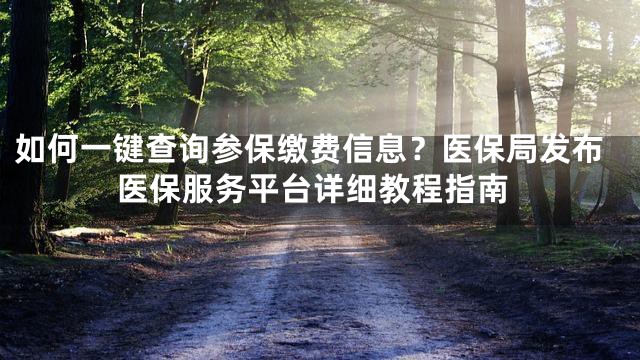 如何一键查询参保缴费信息？医保局发布医保服务平台详细教程指南