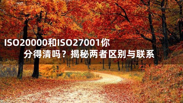 ISO20000和ISO27001你分得清吗？揭秘两者区别与联系
