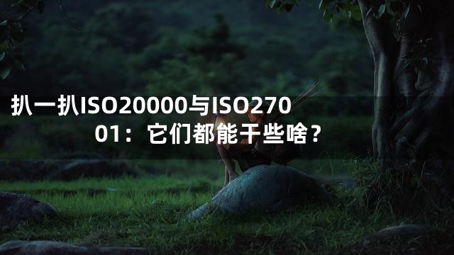 扒一扒ISO20000与ISO27001：它们都能干些啥？