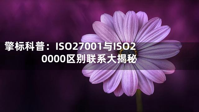 擎标科普：ISO27001与ISO20000区别联系大揭秘