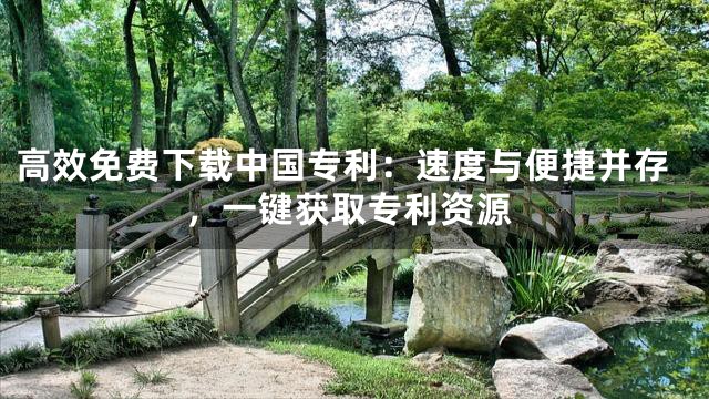 高效免费下载中国专利：速度与便捷并存，一键获取专利资源