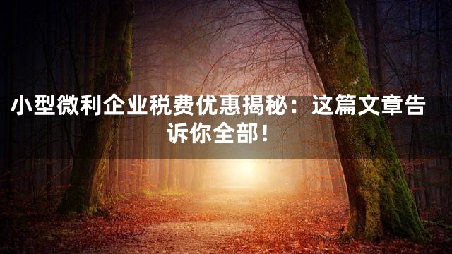 小型微利企业税费优惠揭秘：这篇文章告诉你全部！