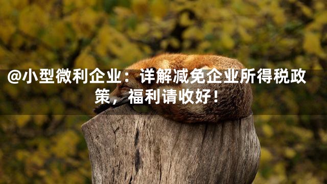 @小型微利企业：详解减免企业所得税政策，福利请收好！