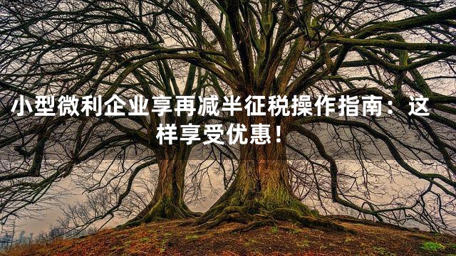 小型微利企业享再减半征税操作指南：这样享受优惠！