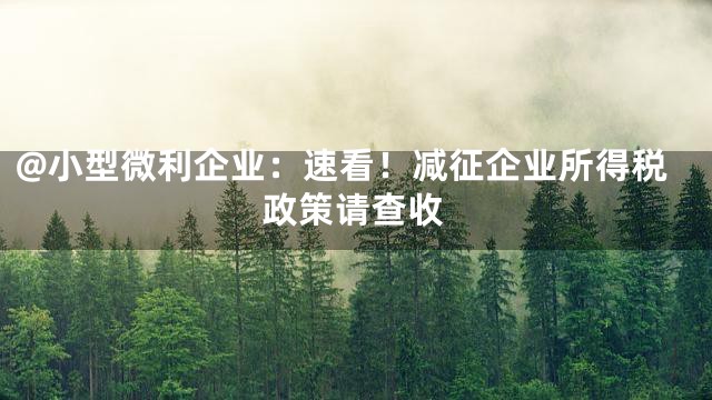 @小型微利企业：速看！减征企业所得税政策请查收