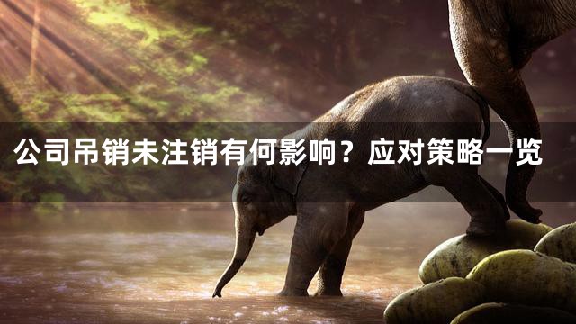 公司吊销未注销有何影响？应对策略一览