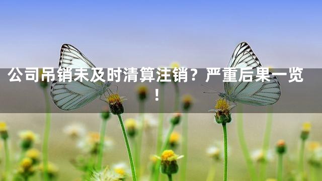 公司吊销未及时清算注销？严重后果一览！