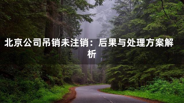 北京公司吊销未注销：后果与处理方案解析
