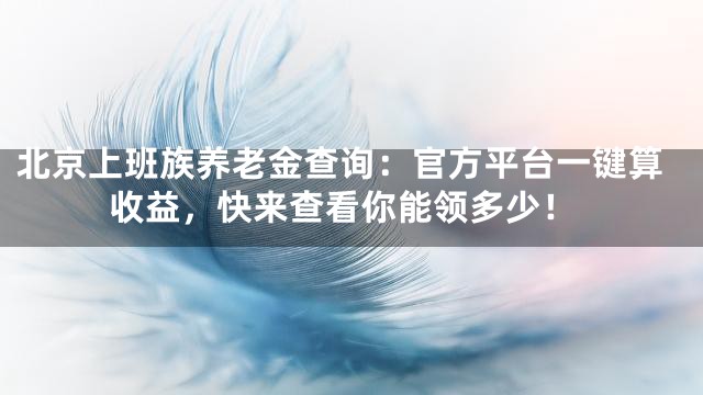 北京上班族养老金查询：官方平台一键算收益，快来查看你能领多少！