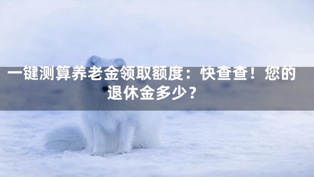 一键测算养老金领取额度：快查查！您的退休金多少？