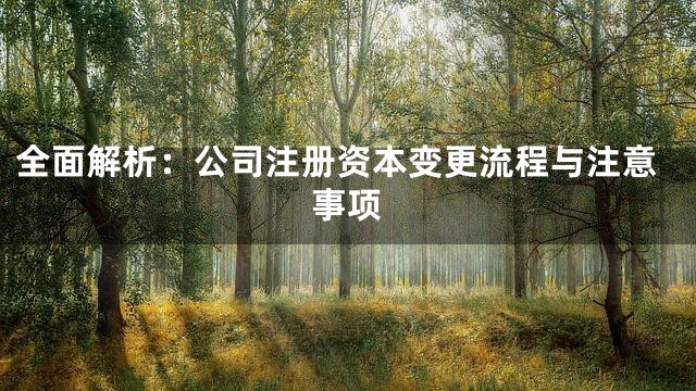 全面解析：公司注册资本变更流程与注意事项
