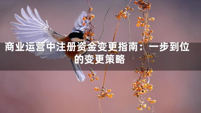 商业运营中注册资金变更指南：一步到位的变更策略