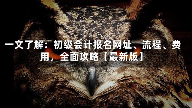 一文了解：初级会计报名网址、流程、费用，全面攻略【最新版】