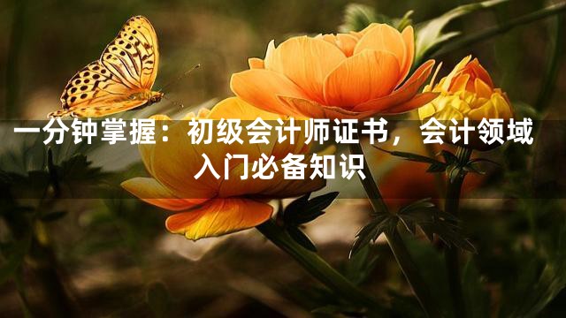 一分钟掌握：初级会计师证书，会计领域入门必备知识