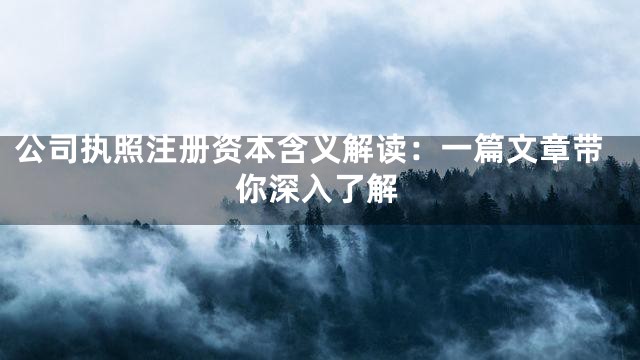 公司执照注册资本含义解读：一篇文章带你深入了解