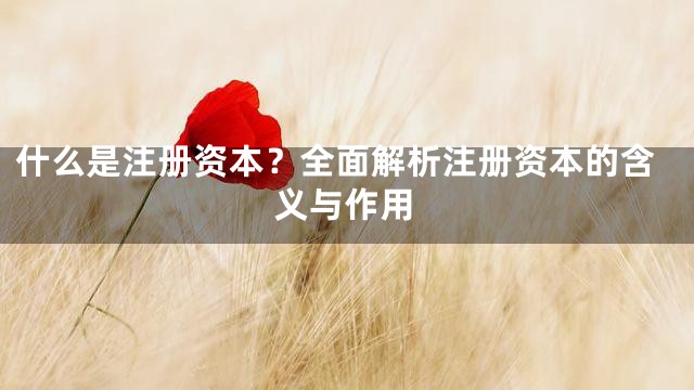 什么是注册资本？全面解析注册资本的含义与作用