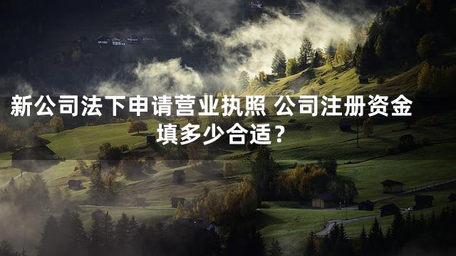 新公司法下申请营业执照 公司注册资金填多少合适？