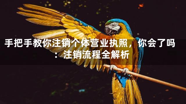 手把手教你注销个体营业执照，你会了吗：注销流程全解析