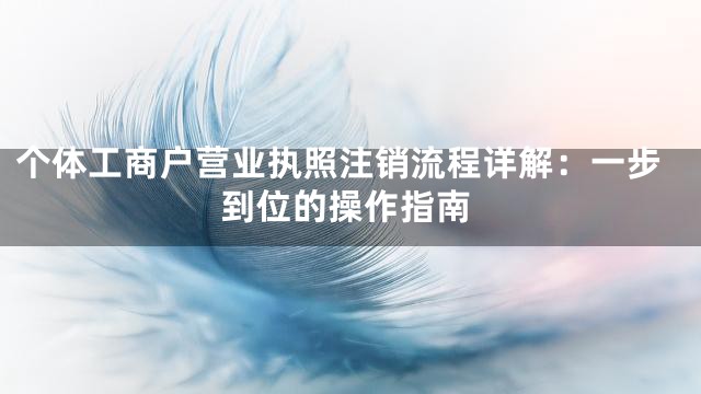 个体工商户营业执照注销流程详解：一步到位的操作指南