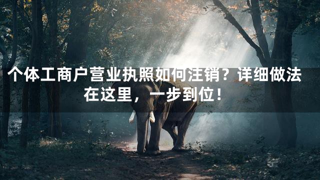 个体工商户营业执照如何注销？详细做法在这里，一步到位！