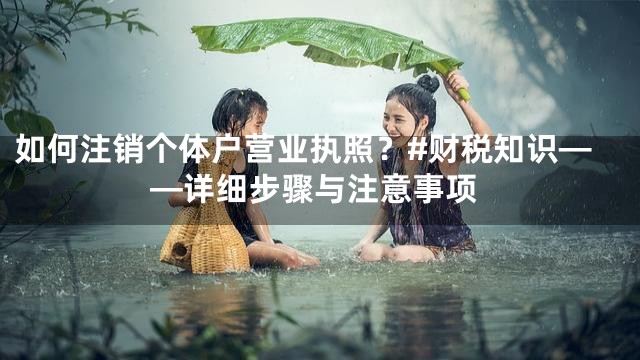 如何注销个体户营业执照？#财税知识——详细步骤与注意事项