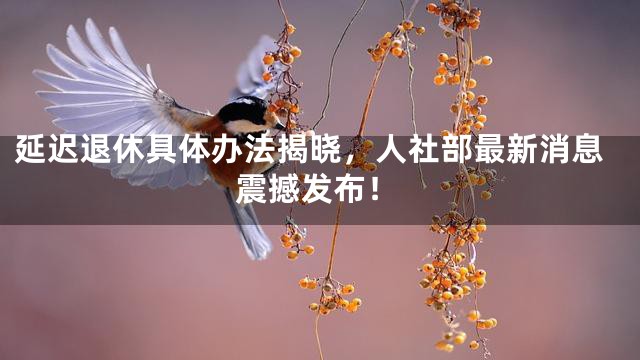 延迟退休具体办法揭晓，人社部最新消息震撼发布！