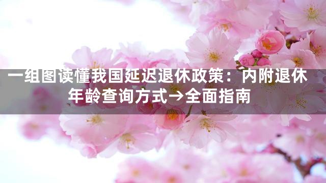 一组图读懂我国延迟退休政策：内附退休年龄查询方式→全面指南