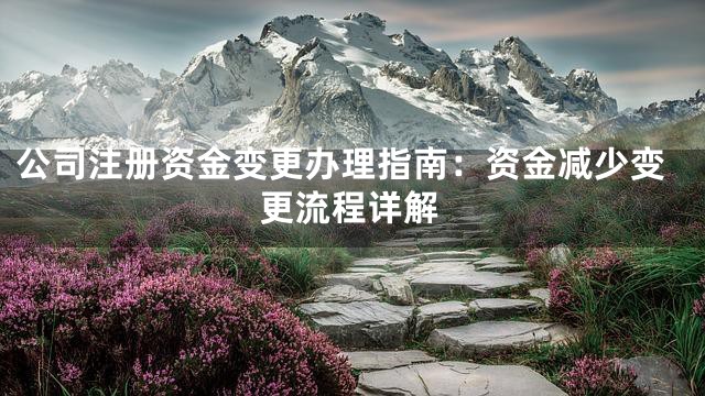 公司注册资金变更办理指南：资金减少变更流程详解