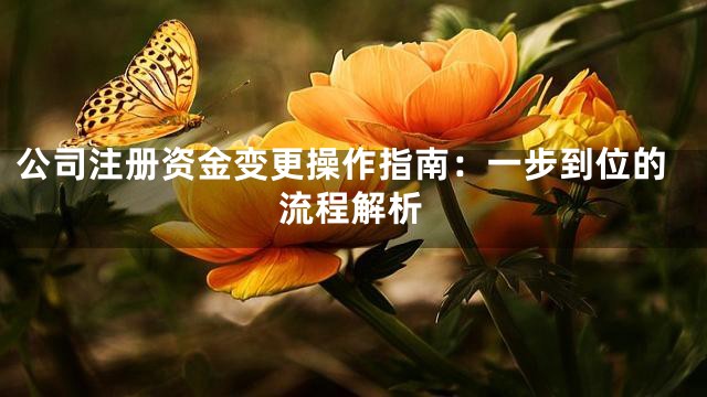 公司注册资金变更操作指南：一步到位的流程解析