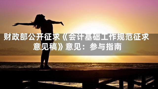 财政部公开征求《会计基础工作规范征求意见稿》意见：参与指南