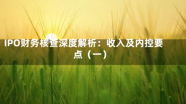IPO财务核查深度解析：收入及内控要点（一）