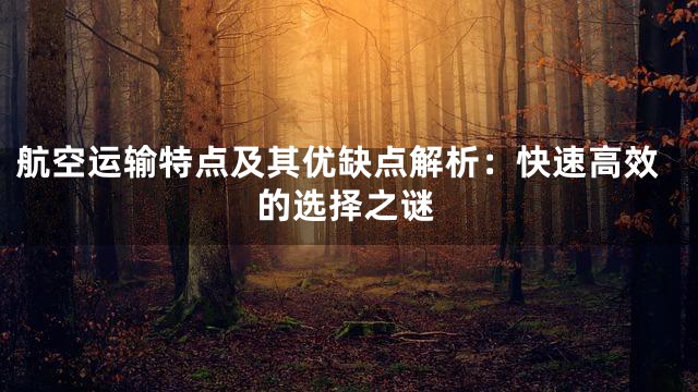 航空运输特点及其优缺点解析：快速高效的选择之谜