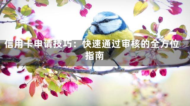 信用卡申请技巧：快速通过审核的全方位指南