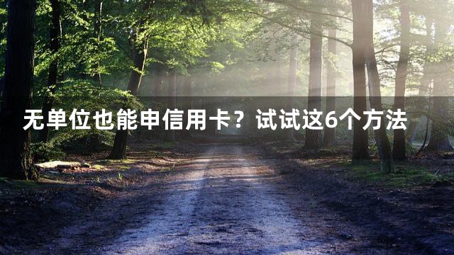 无单位也能申信用卡？试试这6个方法