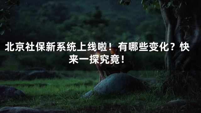 北京社保新系统上线啦！有哪些变化？快来一探究竟！