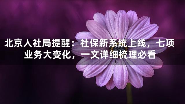 北京人社局提醒：社保新系统上线，七项业务大变化，一文详细梳理必看