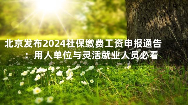 北京发布2024社保缴费工资申报通告：用人单位与灵活就业人员必看