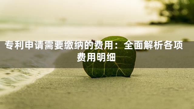 专利申请需要缴纳的费用：全面解析各项费用明细