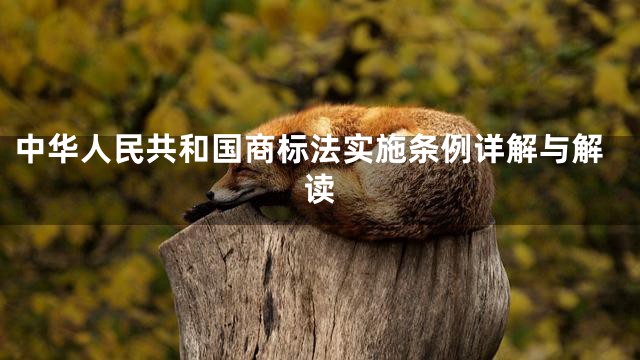 中华人民共和国商标法实施条例详解与解读