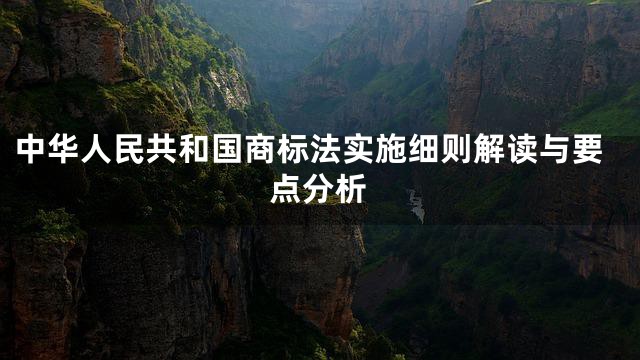 中华人民共和国商标法实施细则解读与要点分析
