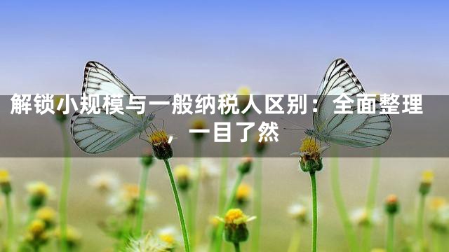 解锁小规模与一般纳税人区别：全面整理，一目了然